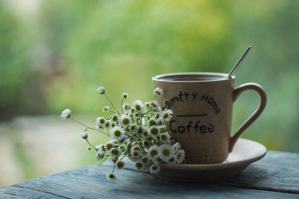 Photograph by Александра Шайдурова