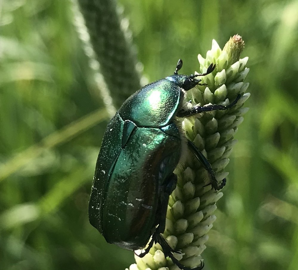 Photograph by Анар Амирова