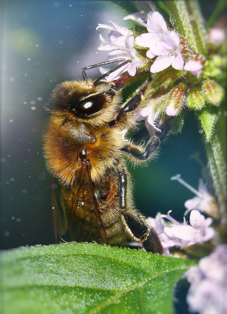 Photograph by Роман Сергеев