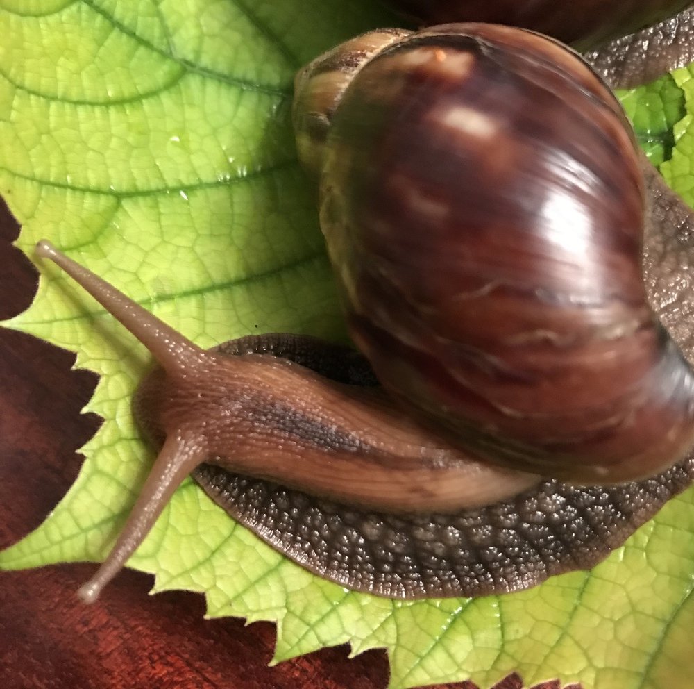 Photograph by Анар Амирова