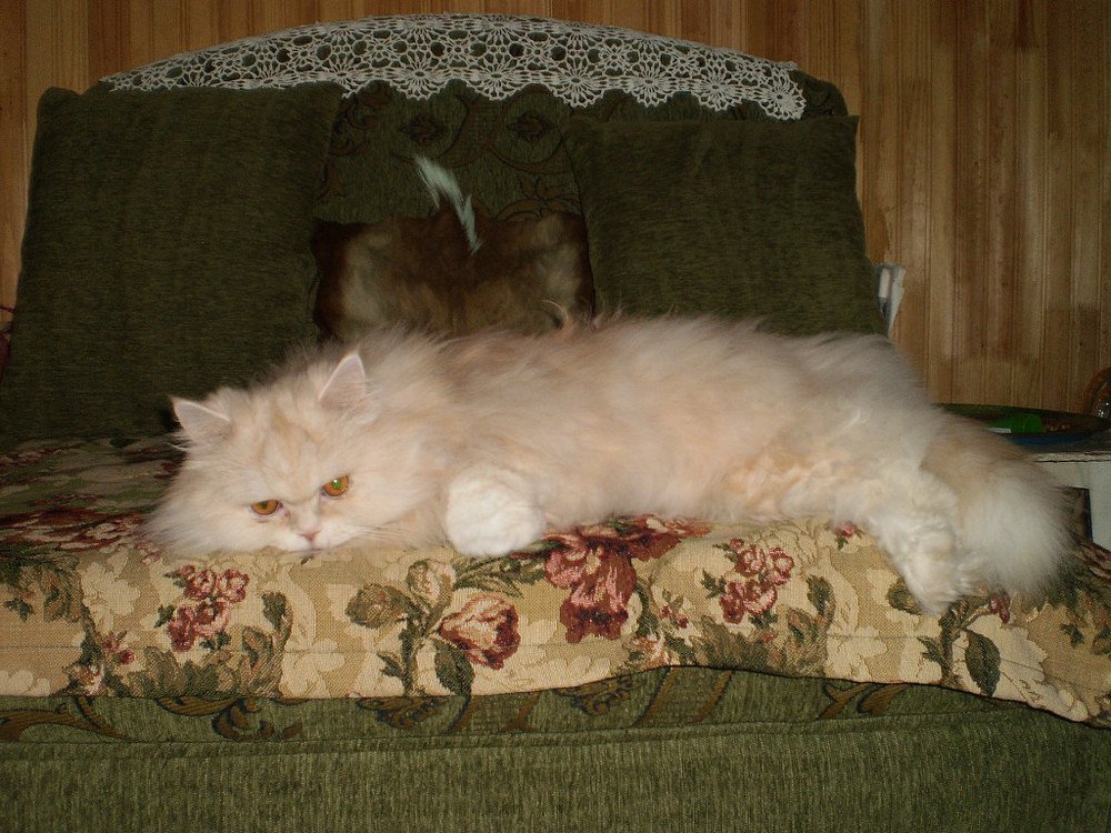 Задумчивый наш.