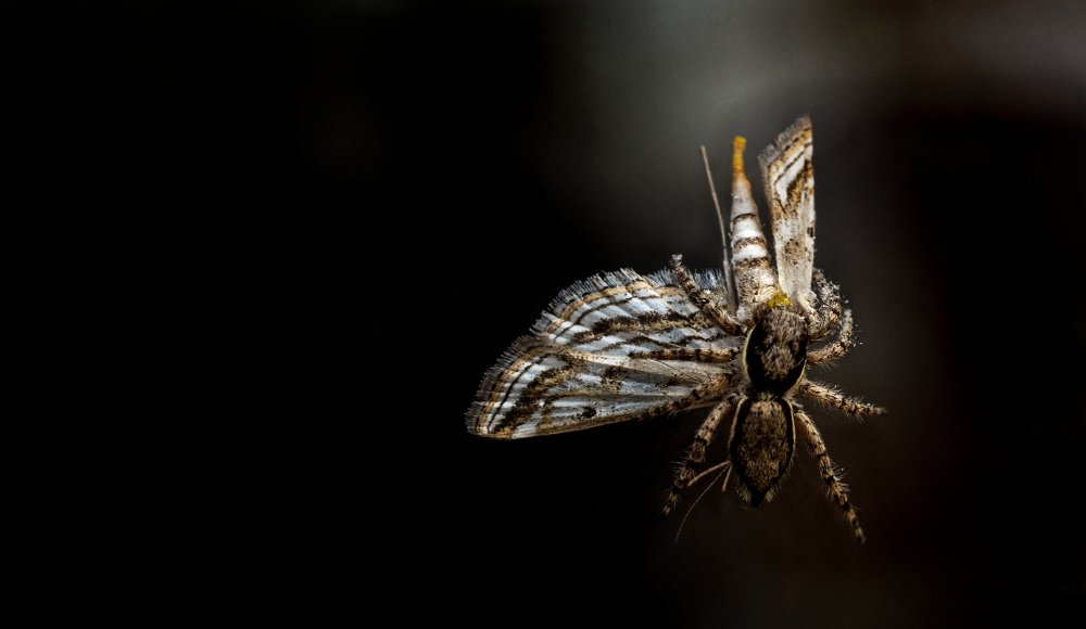 Photograph by Alexander Joe