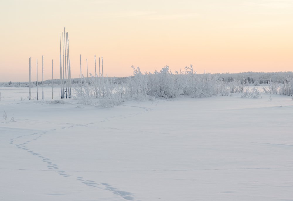 Photograph by Кассандра Мареева