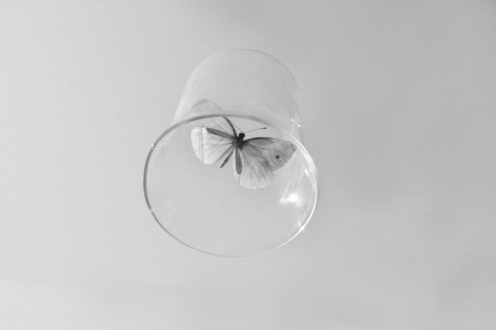 Photograph by Нелли Солодовникова