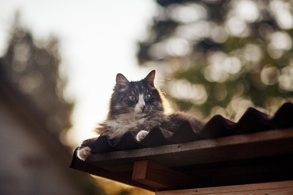 Photograph by Анна Яковлева