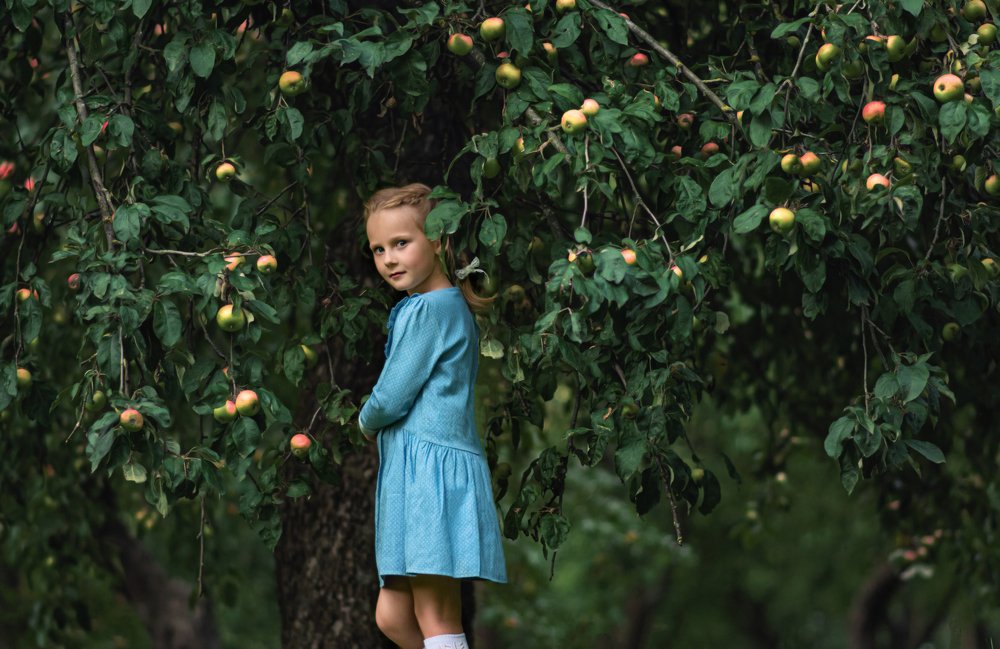 В поиске сказки