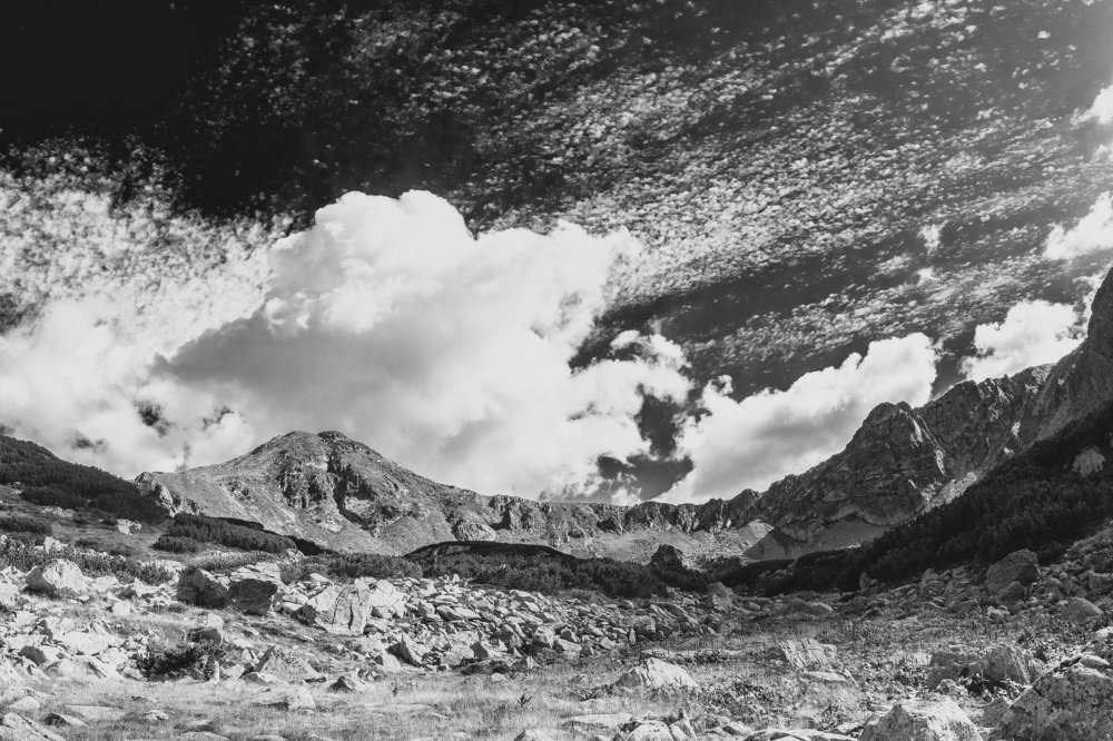 Photograph by Anita Tandari