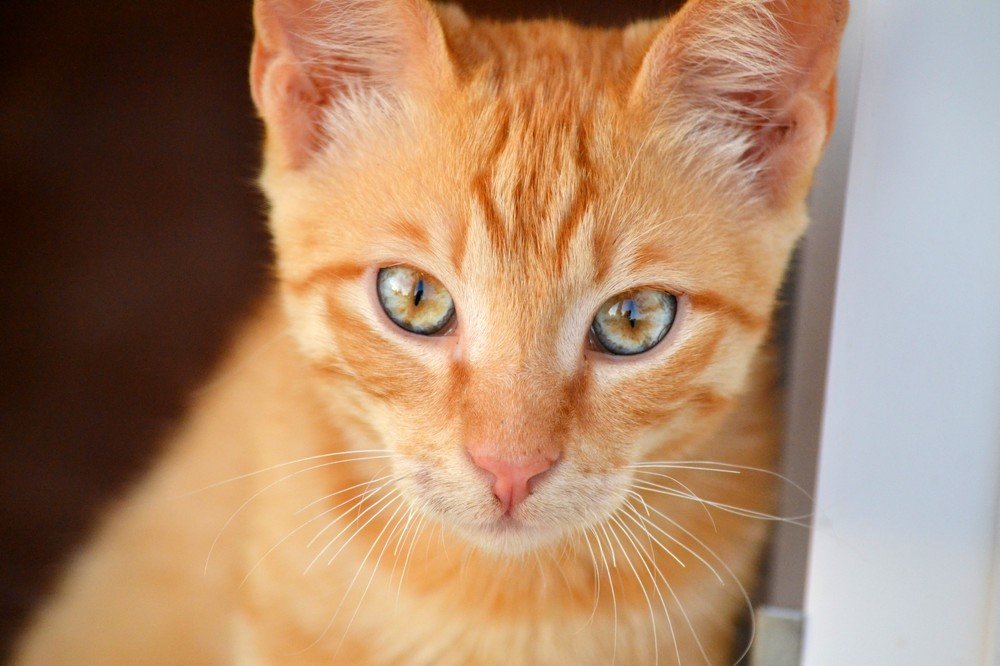 Photograph by Валерия Бердникова