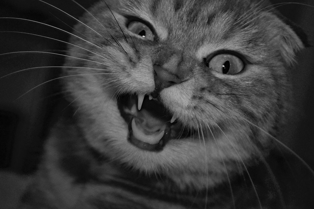 Photograph by Валерия Бердникова