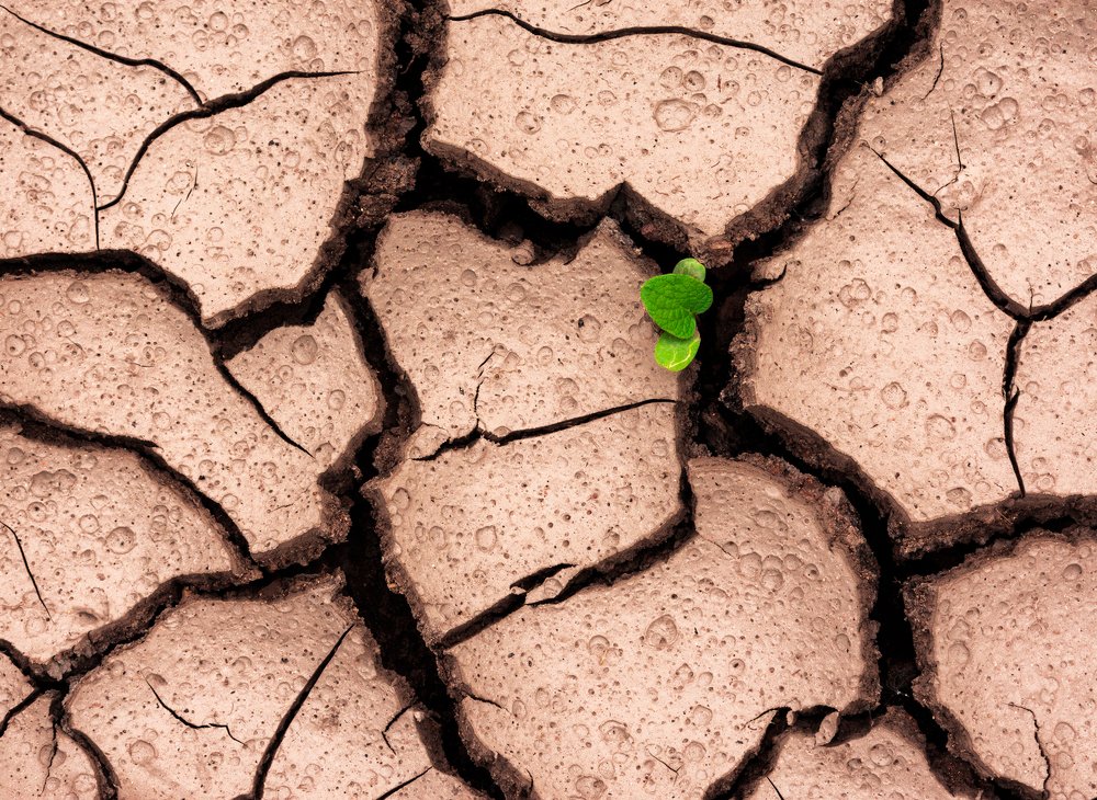 Фотография автора Yevgeny Anatolyevich