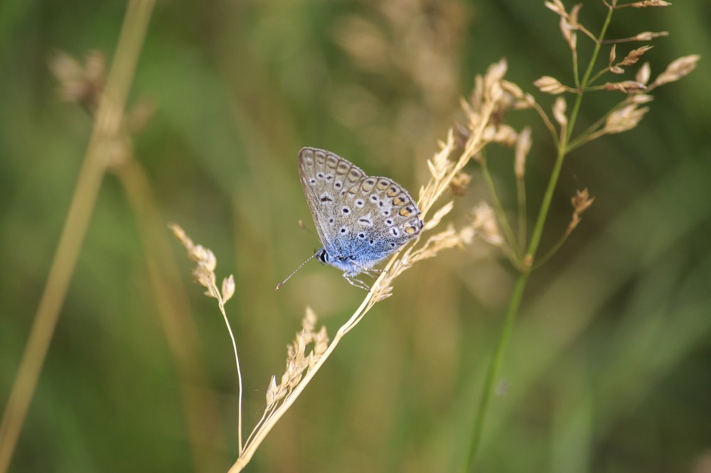 Photograph by Ирина Приходько
