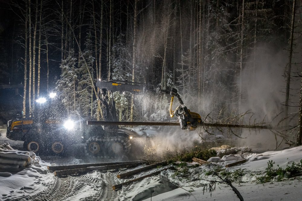 Фотография автора Альберт Мансуров