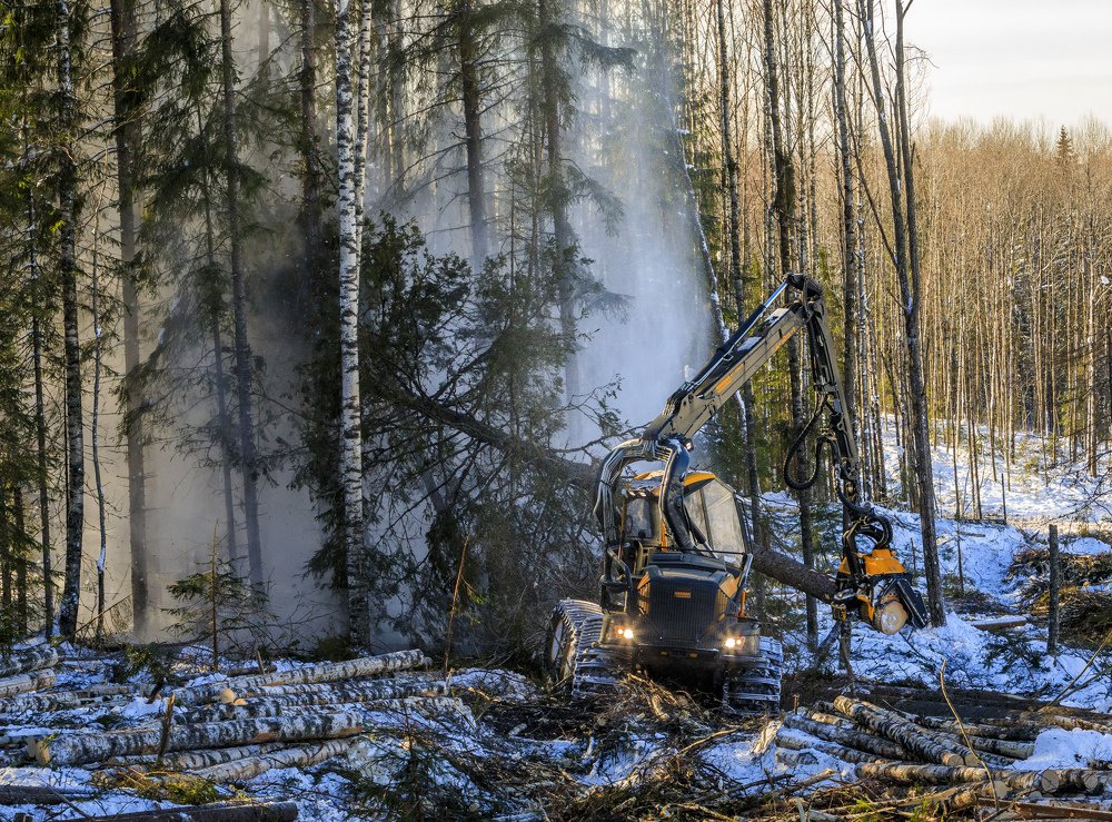 Фотография автора Альберт Мансуров