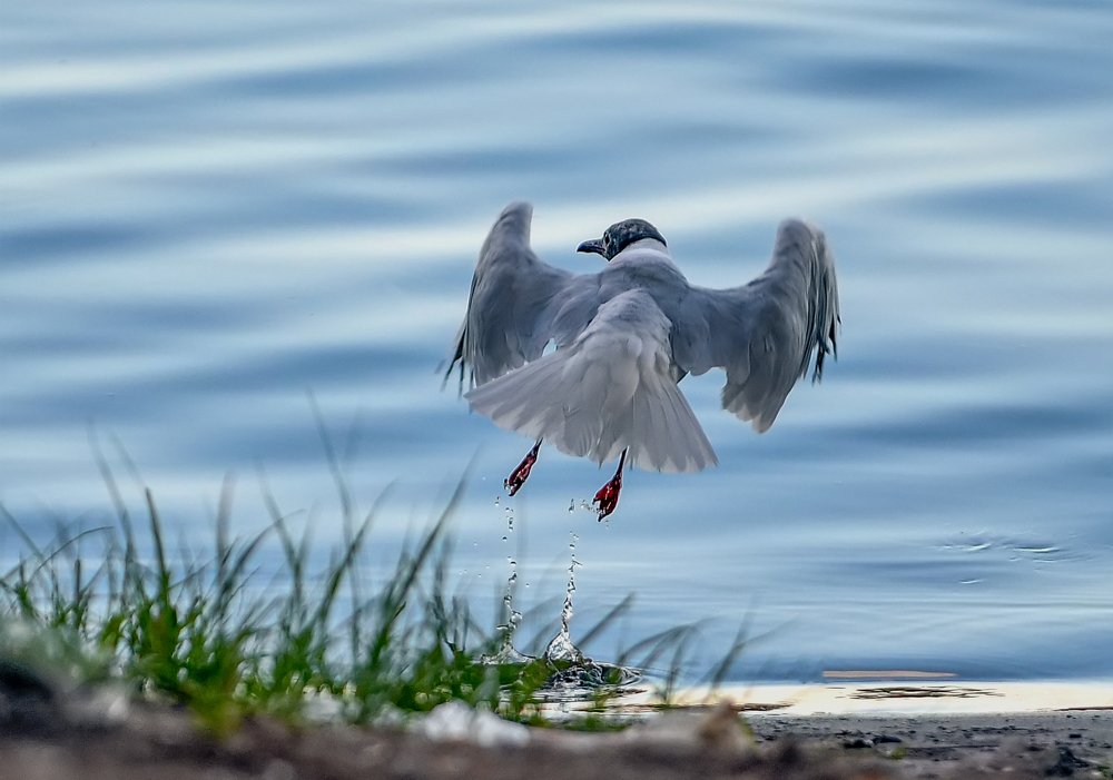 Photograph by олег кирюшкин