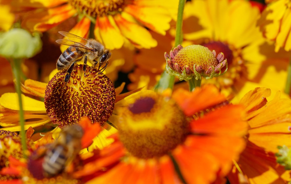 Photograph by Евгений Голубев