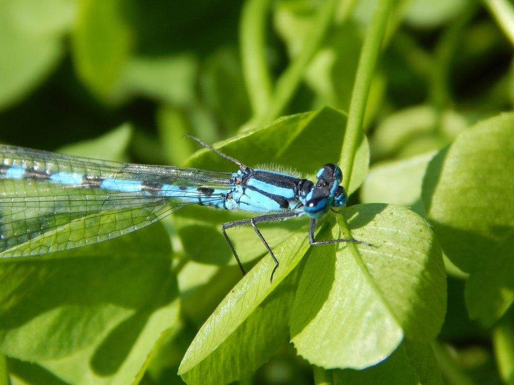 Фотография автора Юлия Кучеренко