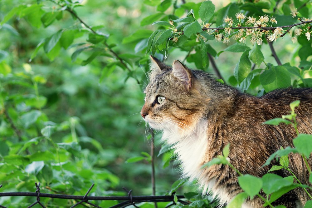 Фотография автора Мария Курицына