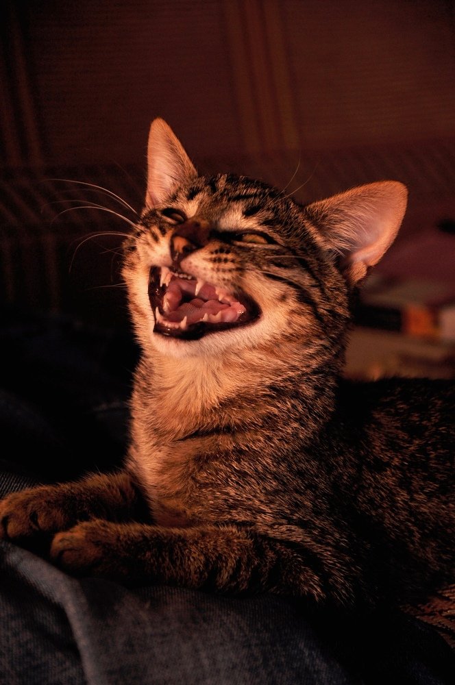 Photograph by Екатерина Степанова