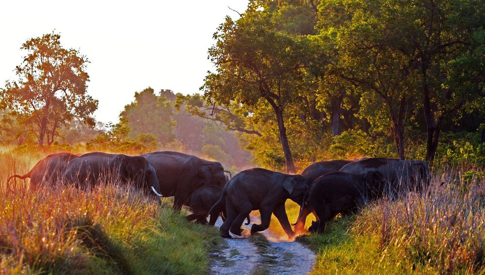 Photograph by Nirmalya Chakraborty