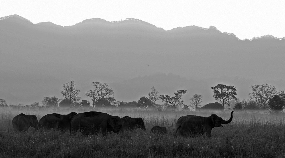 Photograph by Nirmalya Chakraborty