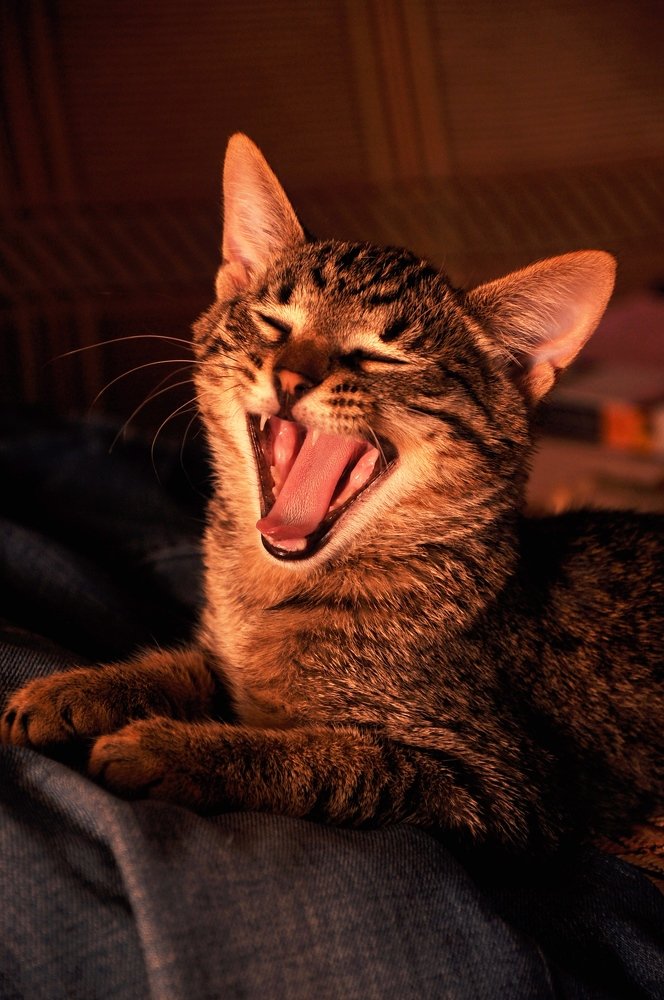 Photograph by Екатерина Степанова