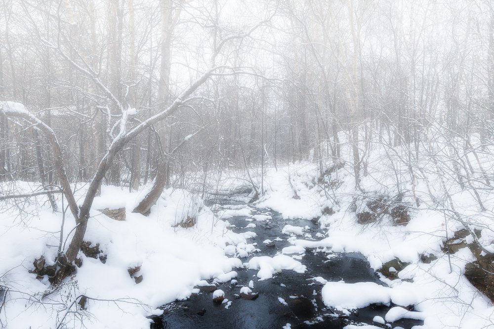 Photograph by Евгений Гецев