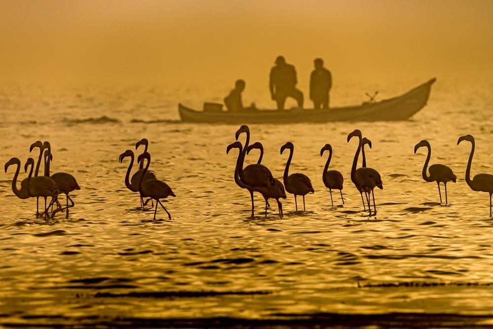 Photograph by António Vieira