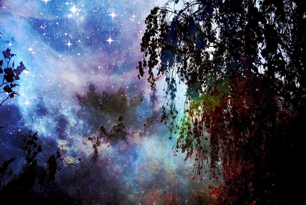 Photograph by Хвостов владимир Владимирович