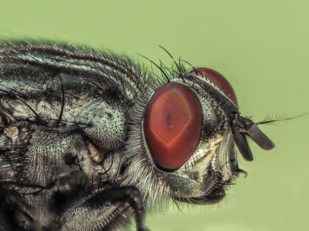 Photograph by Татьяна Аверина