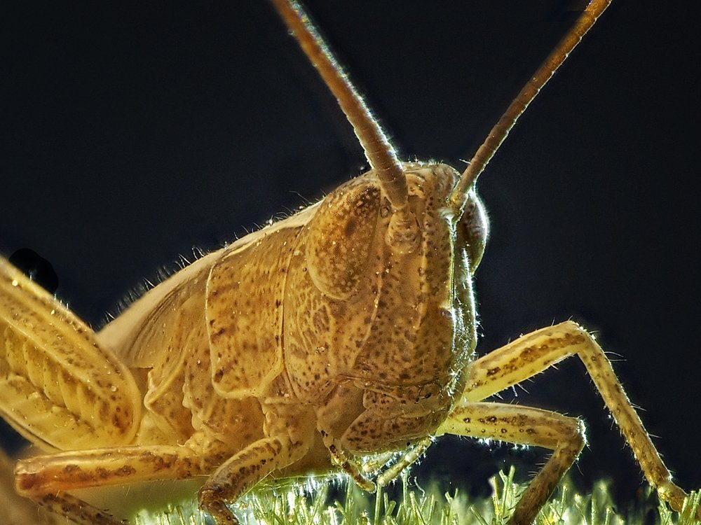 Photograph by Татьяна Аверина