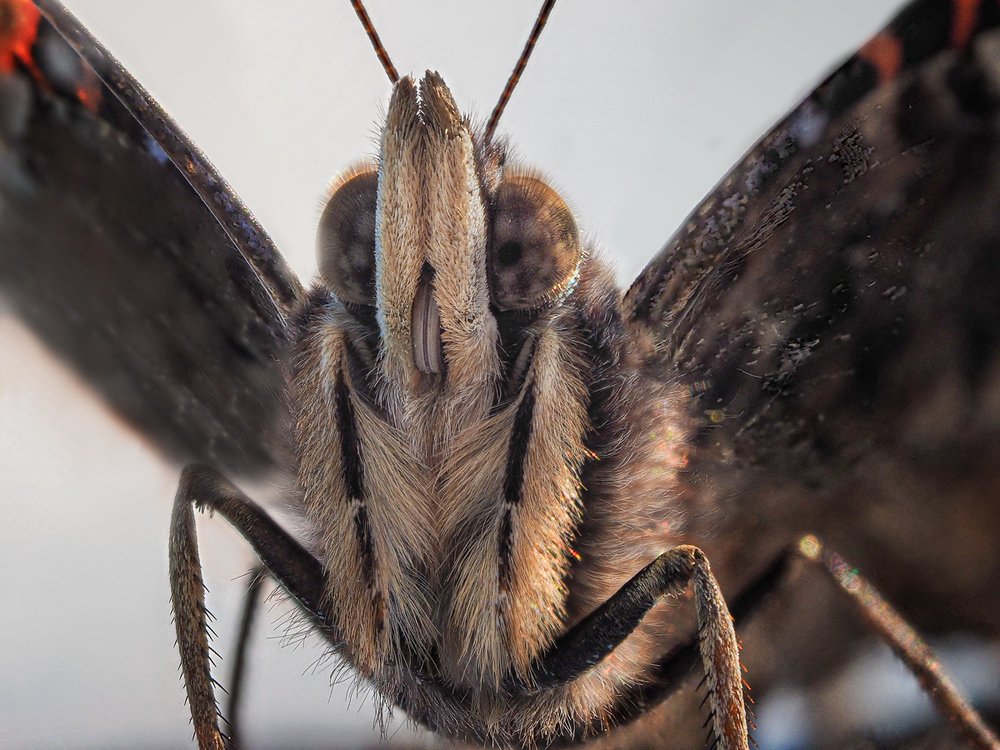 Photograph by Татьяна Аверина