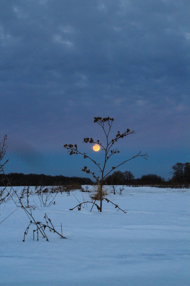 Photograph by Дмитрий Чудинин
