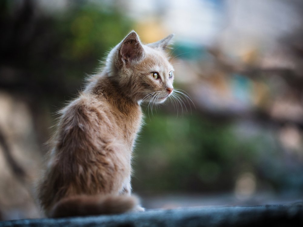 Photograph by Игорь Т