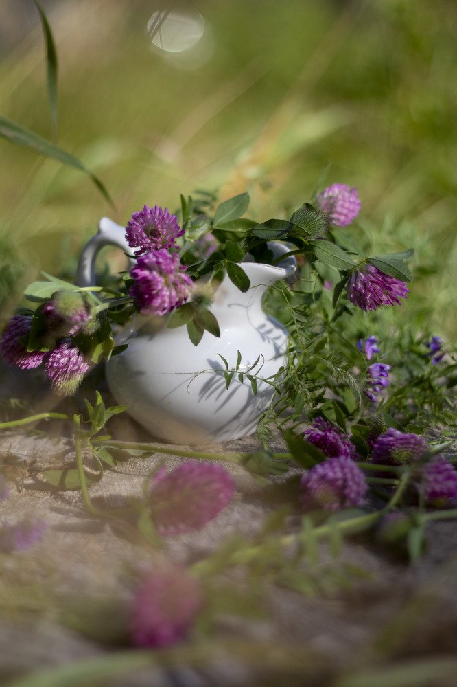 Photograph by Elena Kostochkina