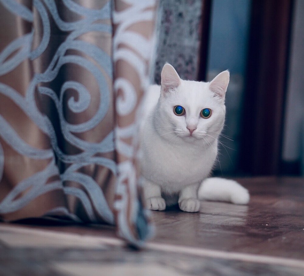 Photograph by Илья Борзенков
