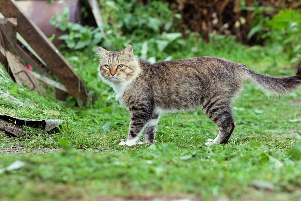 Фотография автора Мария Курицына