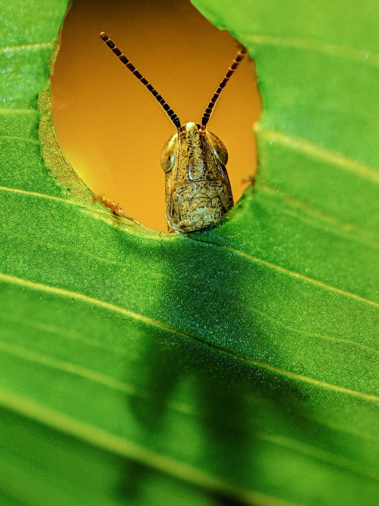 Photograph by Татьяна Аверина