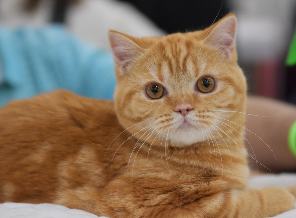 Photograph by Харис Шахмаметьев