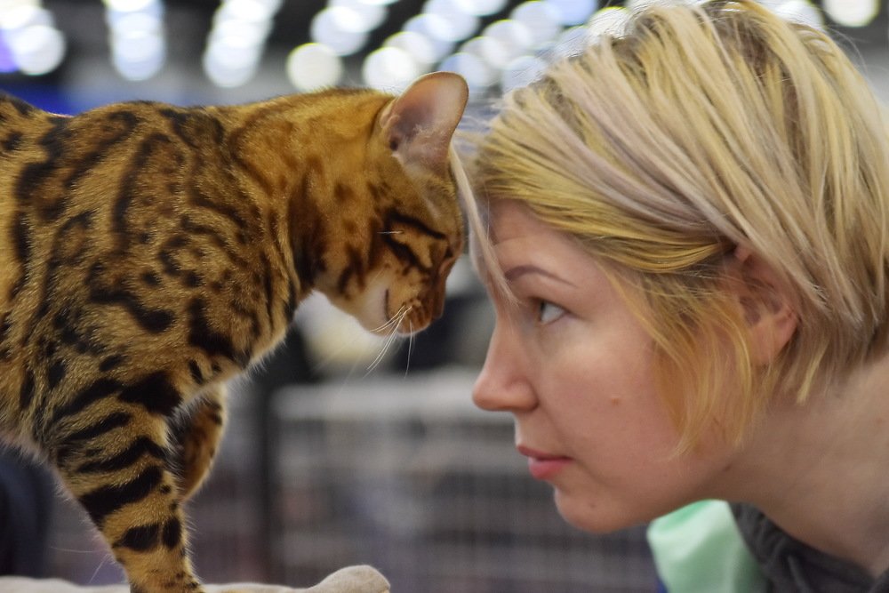 Photograph by Харис Шахмаметьев