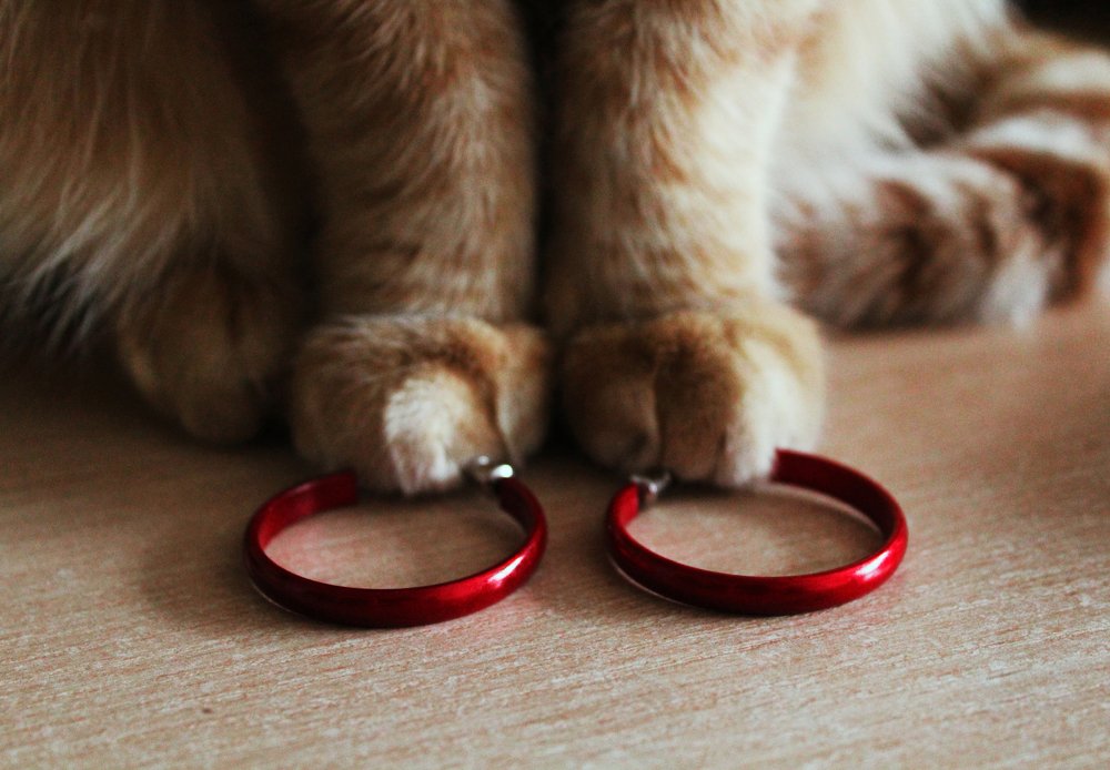 Photograph by Ружана Вячорка