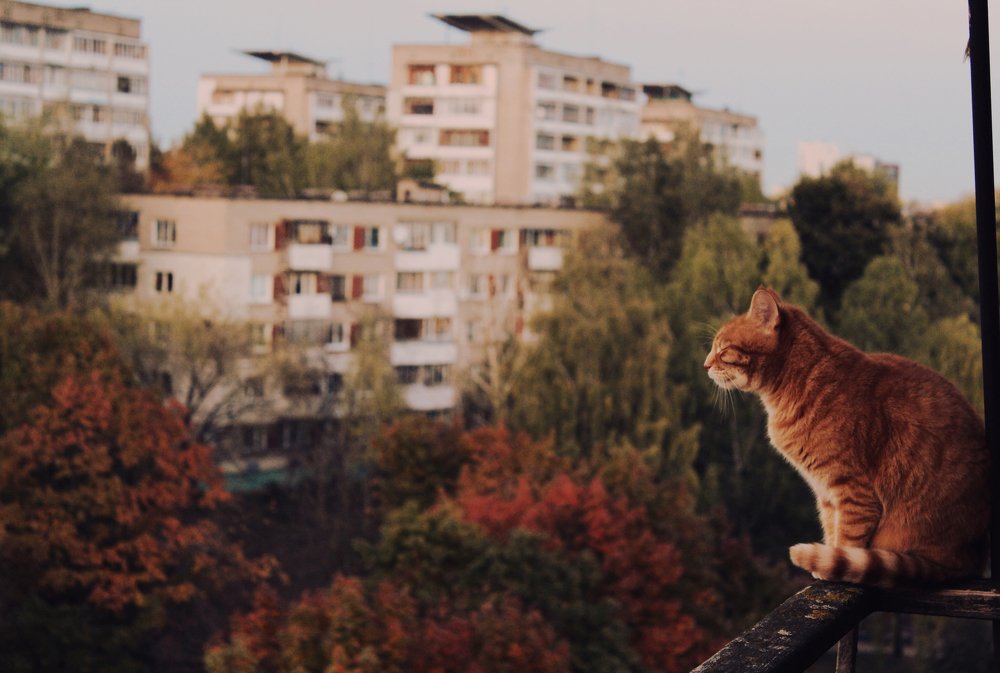 Photograph by Ружана Вячорка