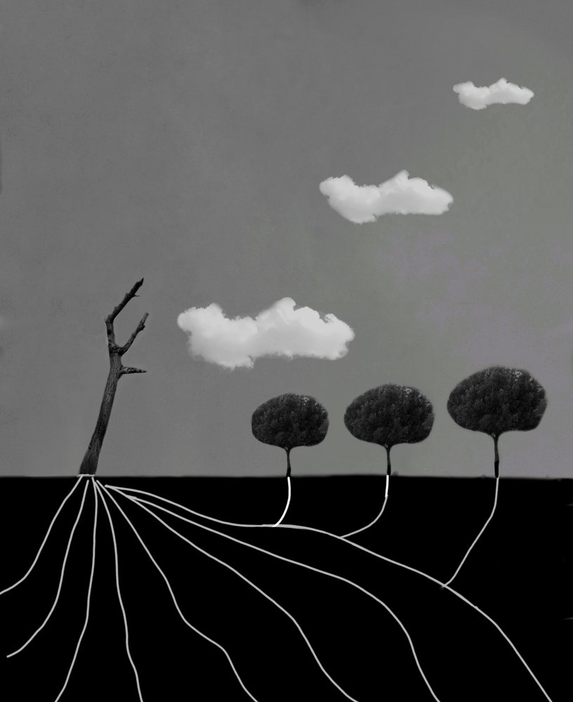 Photograph by Esmaeil kheiry Sakozhiar