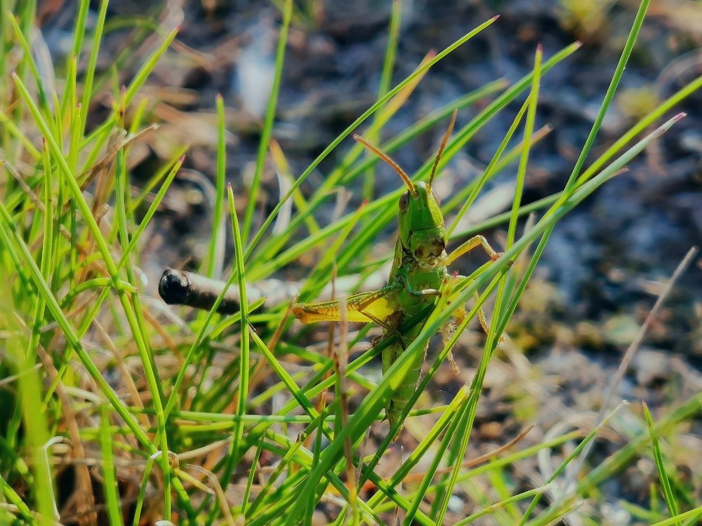 Photograph by Дмитрий