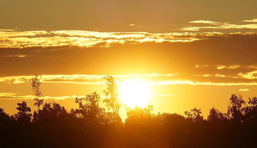 Photograph by Аркадий Попов