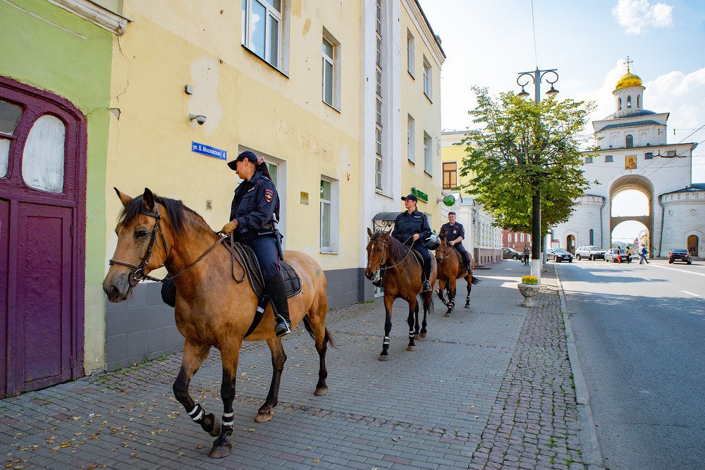 Дневной дозор.