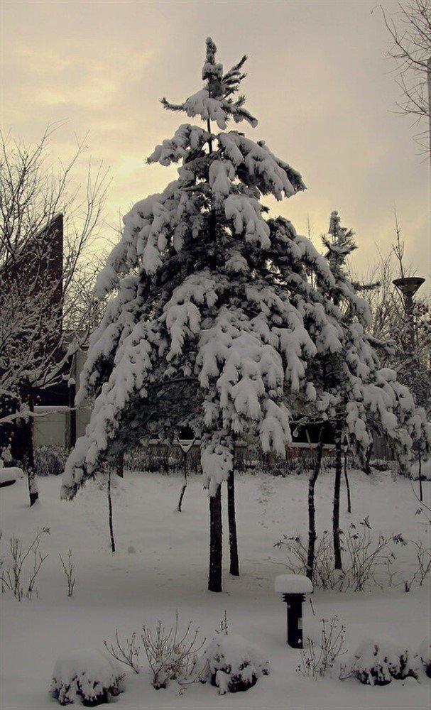 Фотография автора АЛЕКСАНДР ЦЫГЕЛЬНЮК