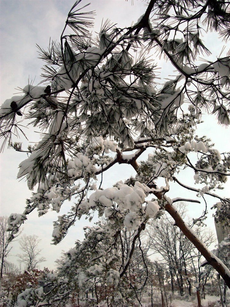 Фотография автора АЛЕКСАНДР ЦЫГЕЛЬНЮК