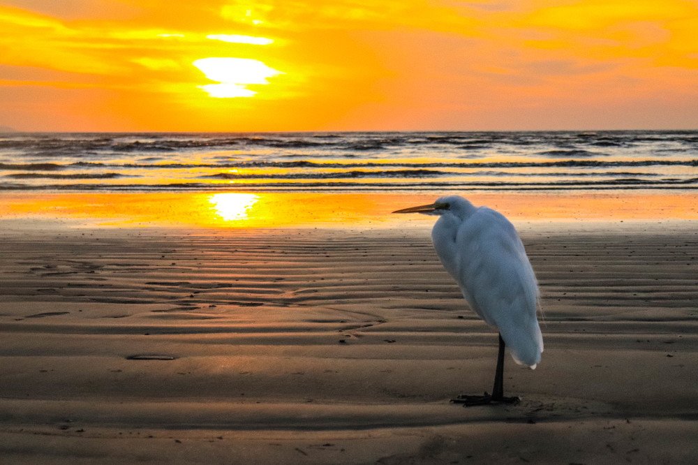 Photograph by Luiz Gustavo Campino Grunewald