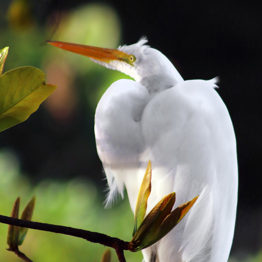 Photograph by Luiz Gustavo Campino Grunewald