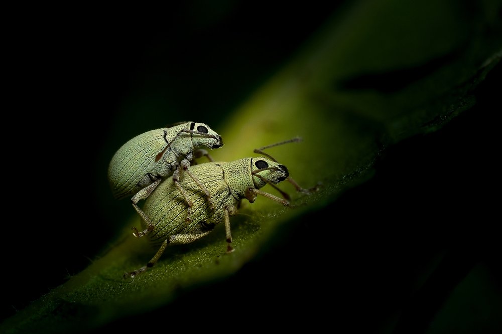 Photograph by Sandeep Priyadarshi